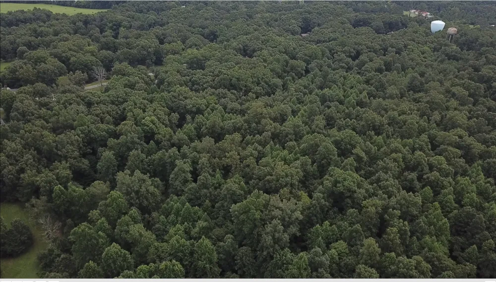 0 Hatley Rd Lyles, TN 37098