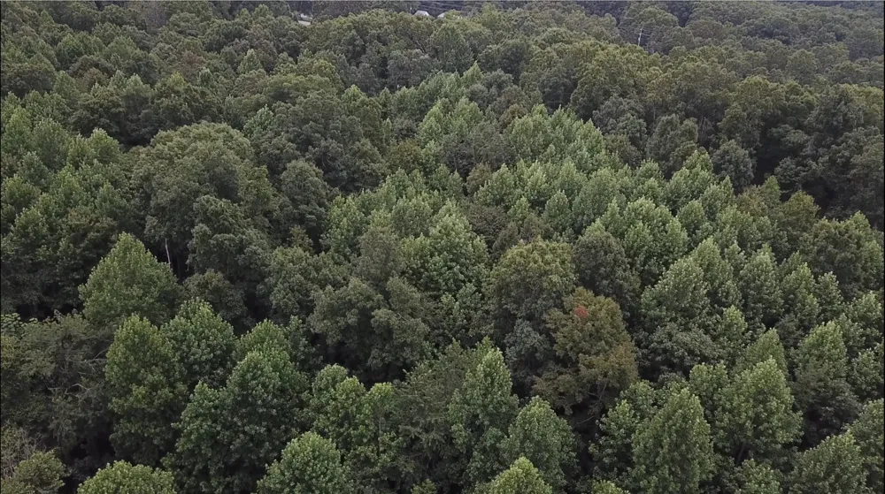 0 Hatley Rd Lyles, TN 37098