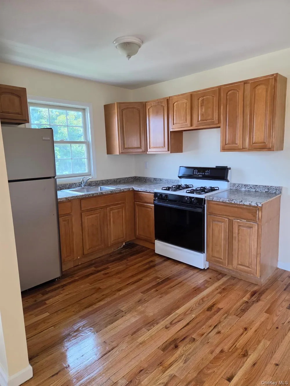 1319 Journal Avenue #2 Elmont, NY 11003