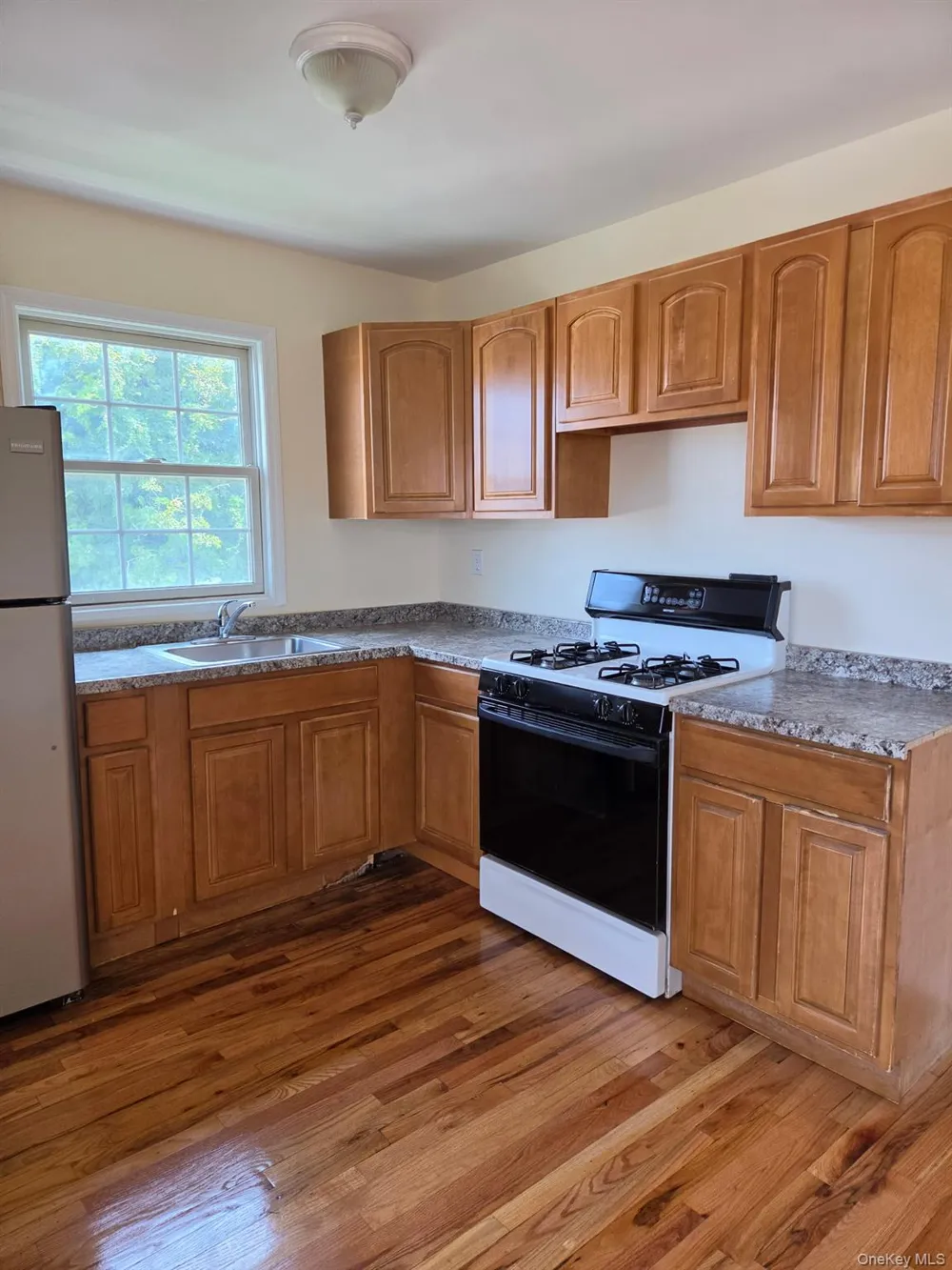 1319 Journal Avenue #2 Elmont, NY 11003
