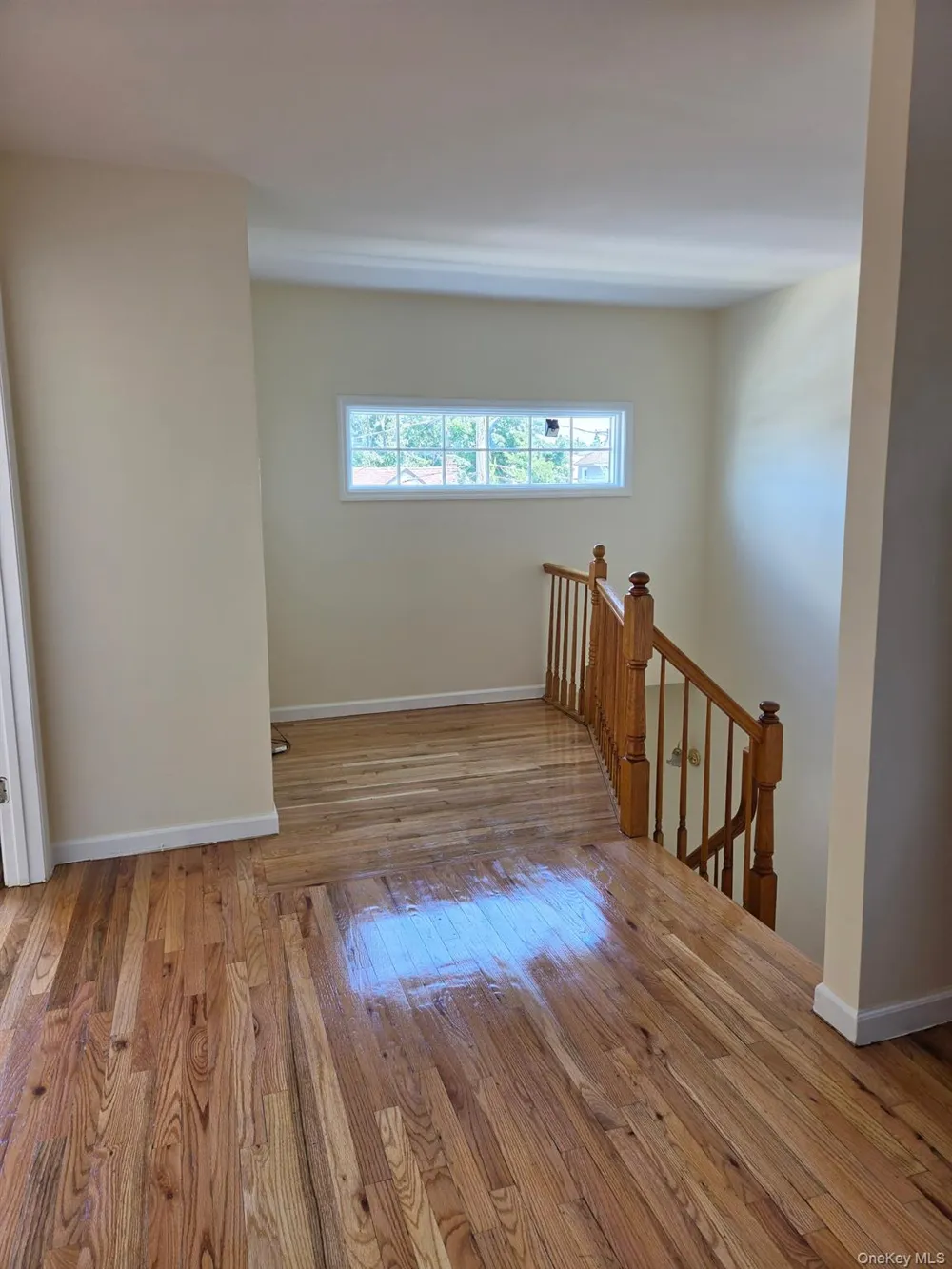 1319 Journal Avenue #2 Elmont, NY 11003