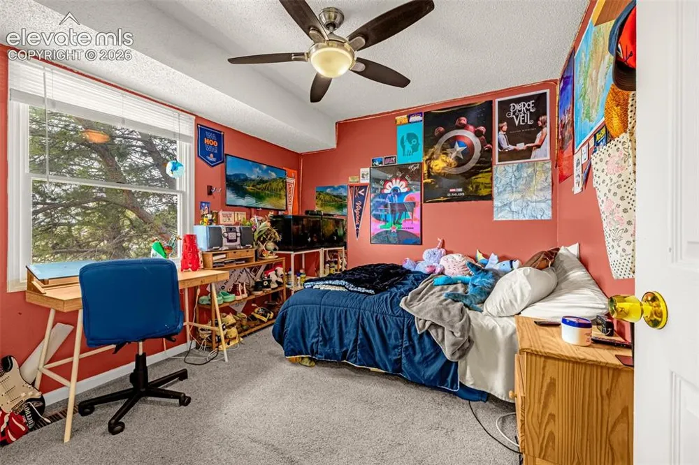 313 Raspberry Lane Monument, CO 80132