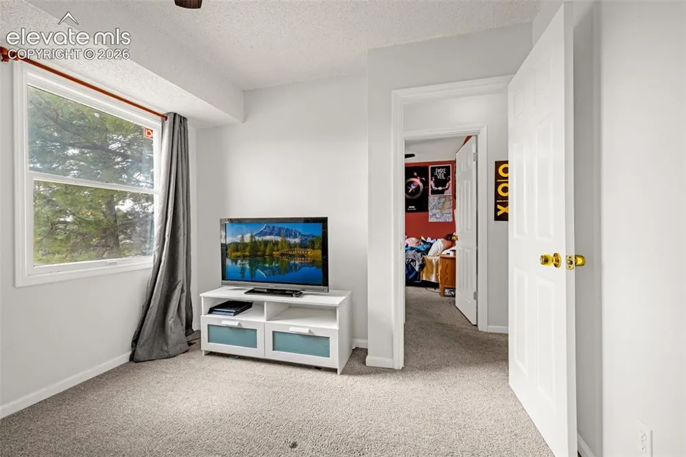 313 Raspberry Lane Monument, CO 80132