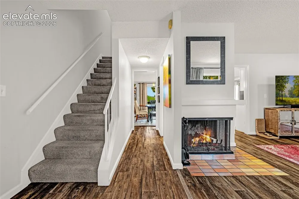 313 Raspberry Lane Monument, CO 80132