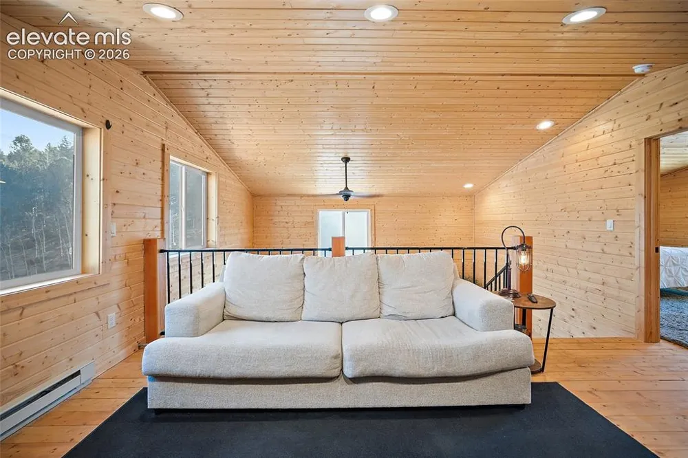 213 Willow Road Divide, CO 80814