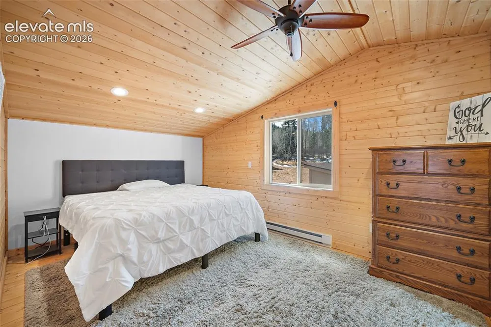 213 Willow Road Divide, CO 80814