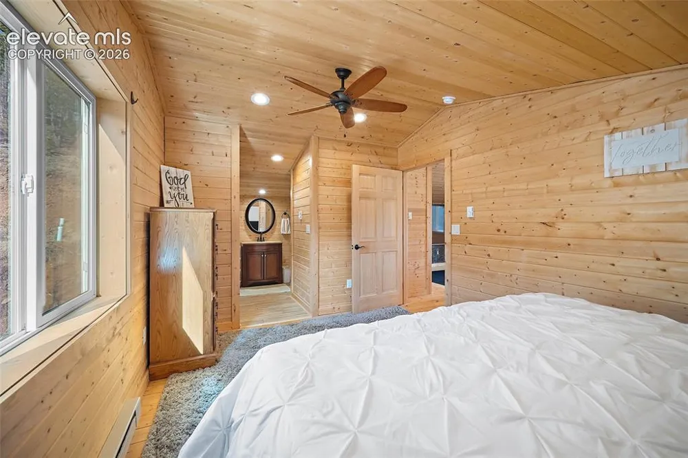 213 Willow Road Divide, CO 80814