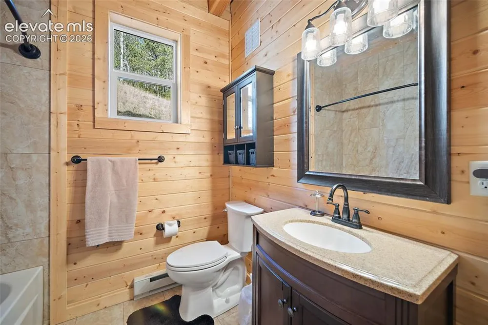 213 Willow Road Divide, CO 80814