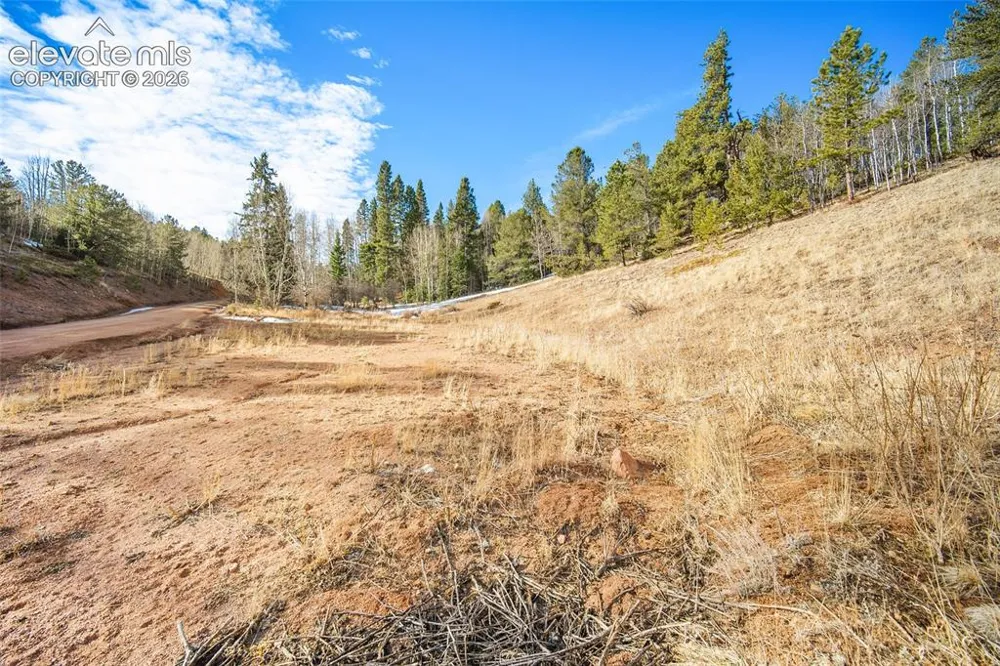 213 Willow Road Divide, CO 80814