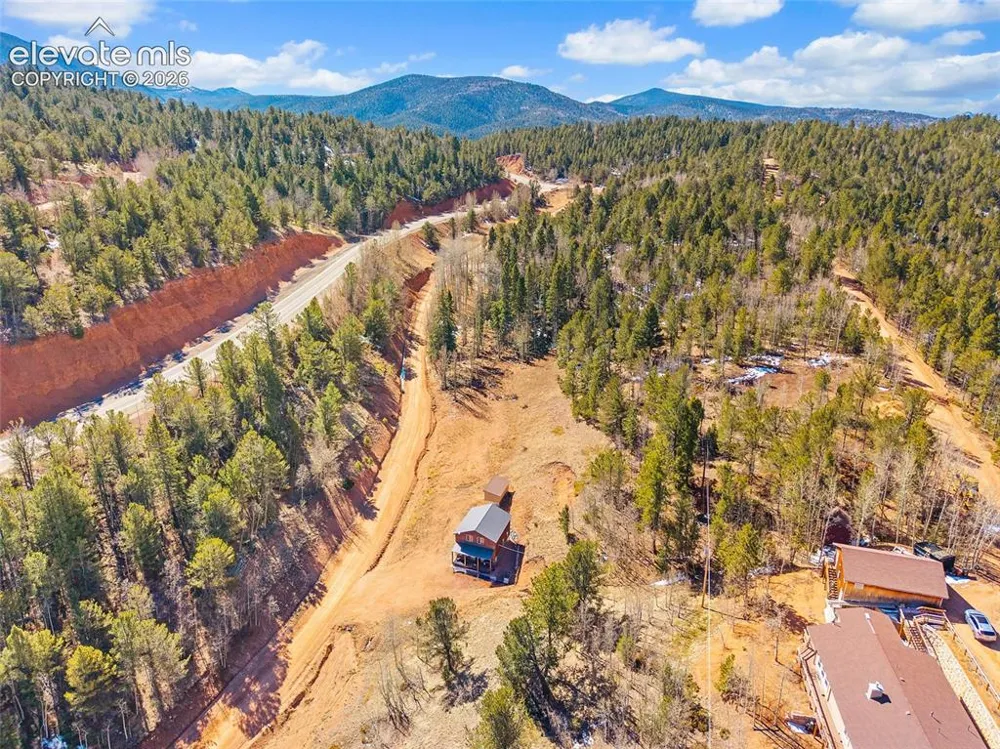213 Willow Road Divide, CO 80814