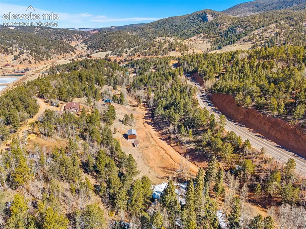 213 Willow Road Divide, CO 80814