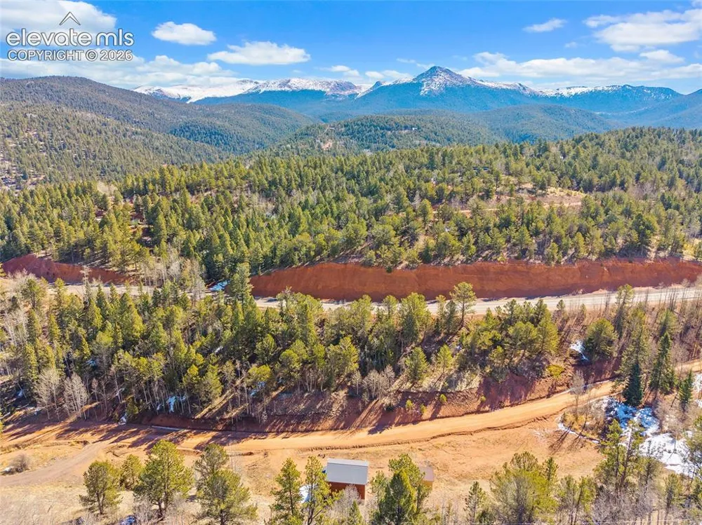213 Willow Road Divide, CO 80814