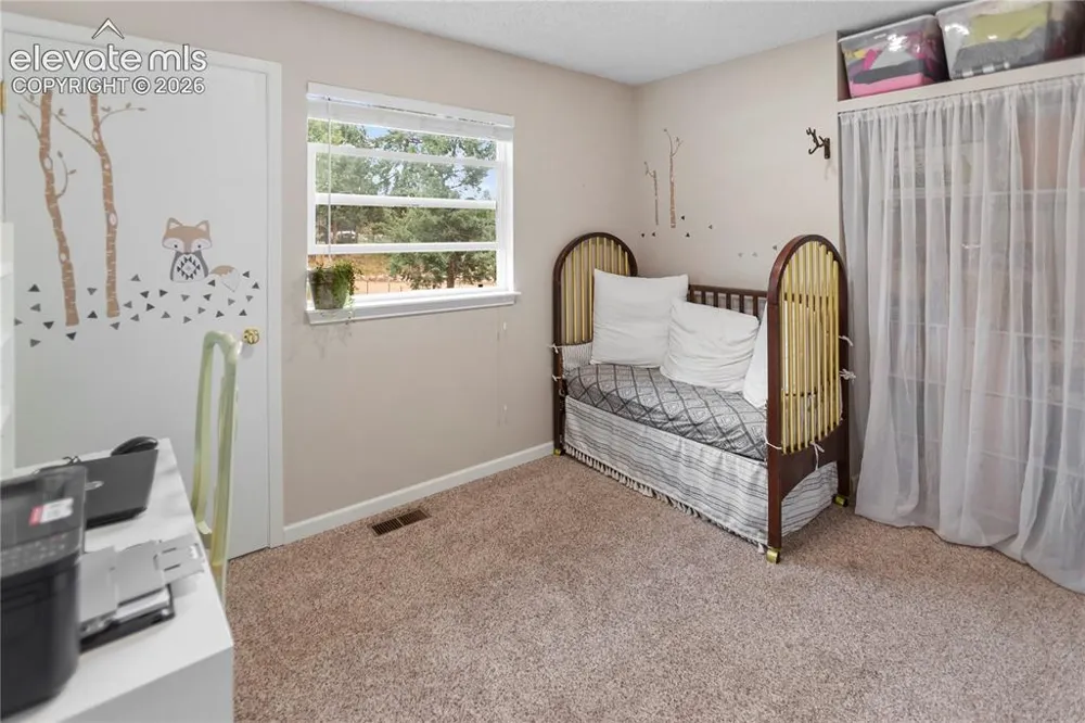1010 W Lorraine Avenue Woodland Park, CO 80863