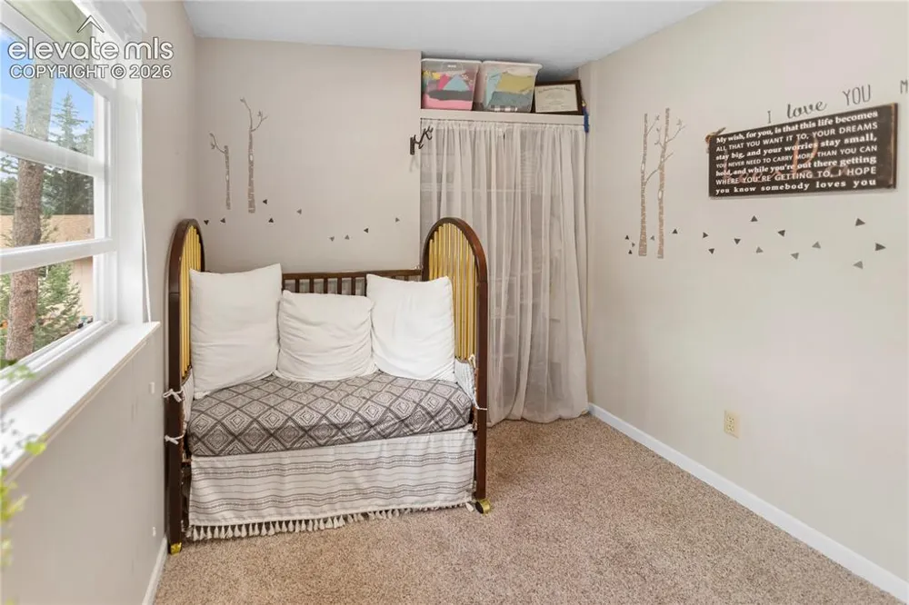 1010 W Lorraine Avenue Woodland Park, CO 80863