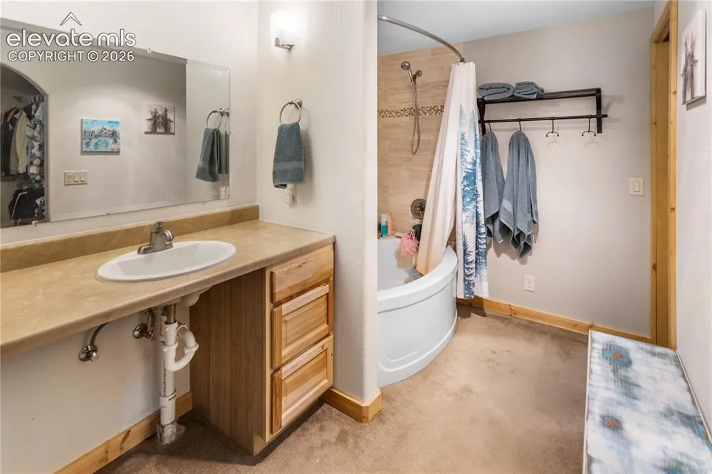 1010 W Lorraine Avenue Woodland Park, CO 80863