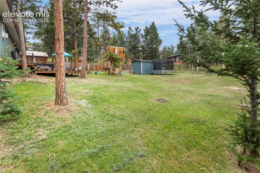 1010 W Lorraine Avenue Woodland Park, CO 80863