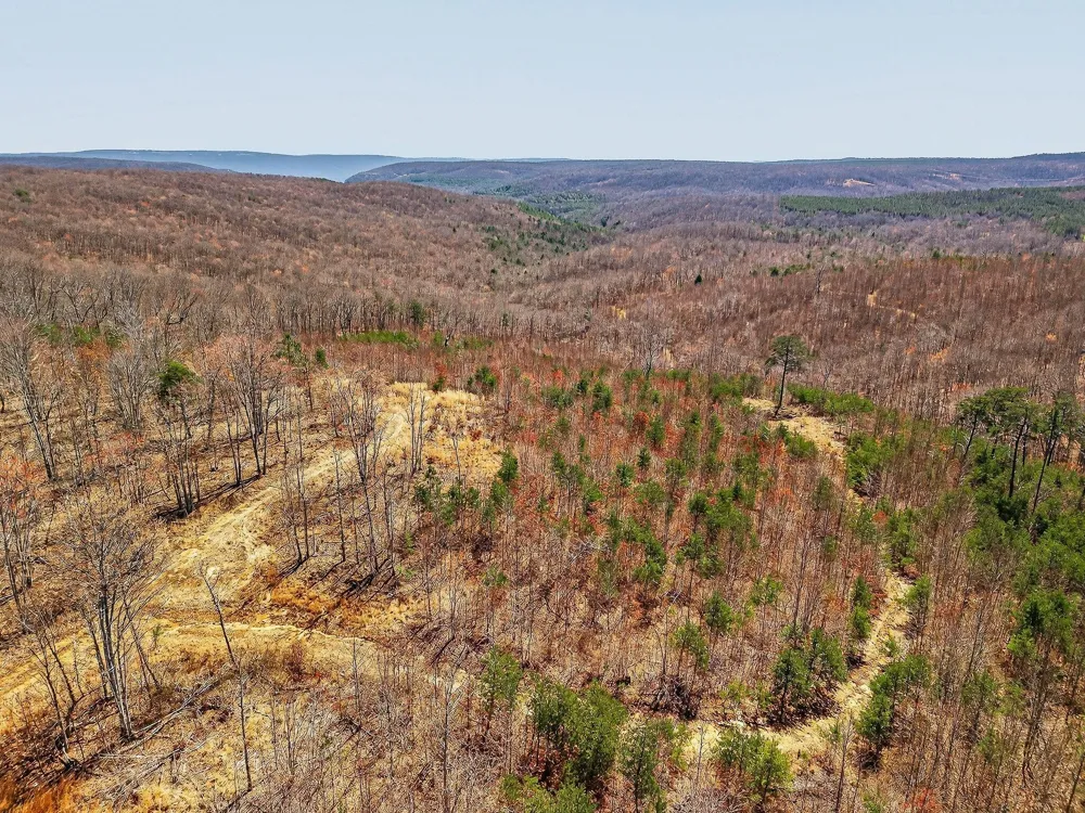 253 Highway 27 Daus Mountain Road Palmer, TN 37365
