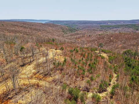 253 Highway 27 Daus Mountain Road