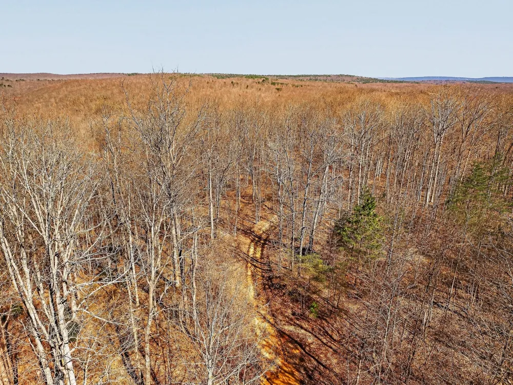 253 Highway 27 Daus Mountain Road Palmer, TN 37365