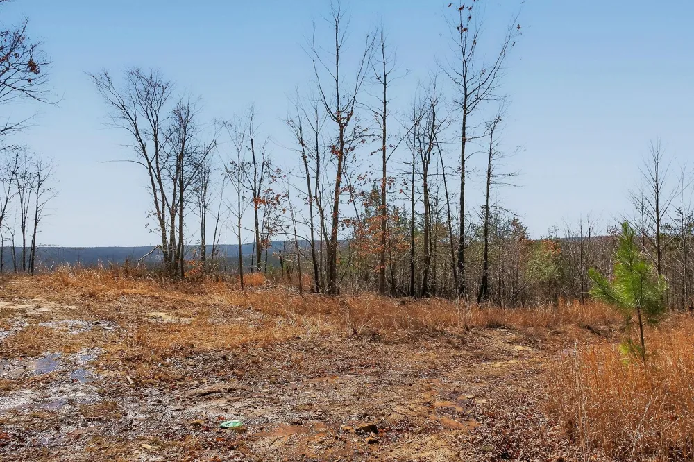253 Highway 27 Daus Mountain Road Palmer, TN 37365