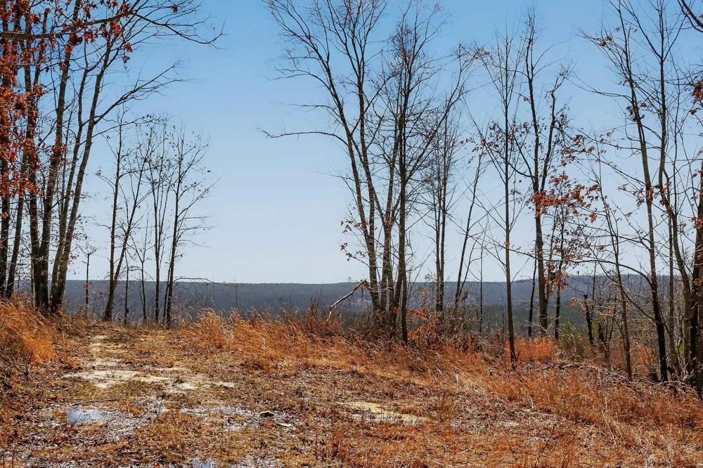 253 Highway 27 Daus Mountain Road Palmer, TN 37365