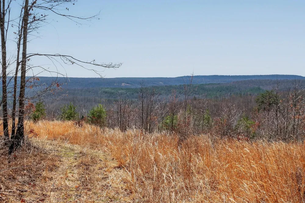 253 Highway 27 Daus Mountain Road Palmer, TN 37365