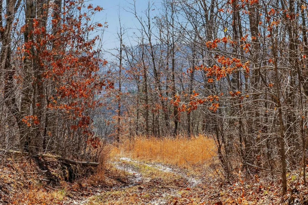253 Highway 27 Daus Mountain Road Palmer, TN 37365