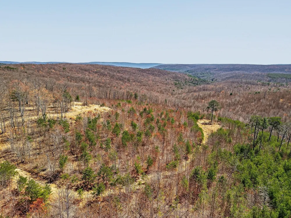 253 Highway 27 Daus Mountain Road Palmer, TN 37365