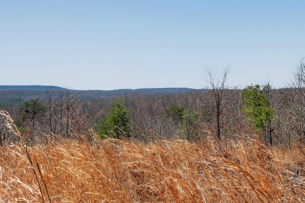 253 Highway 27 Daus Mountain Road Palmer, TN 37365