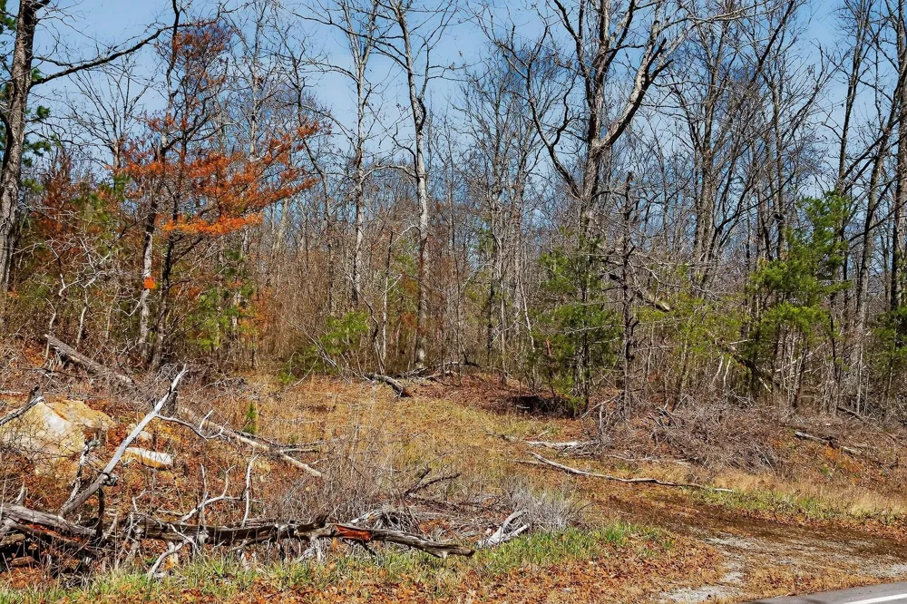 253 Highway 27 Daus Mountain Road Palmer, TN 37365