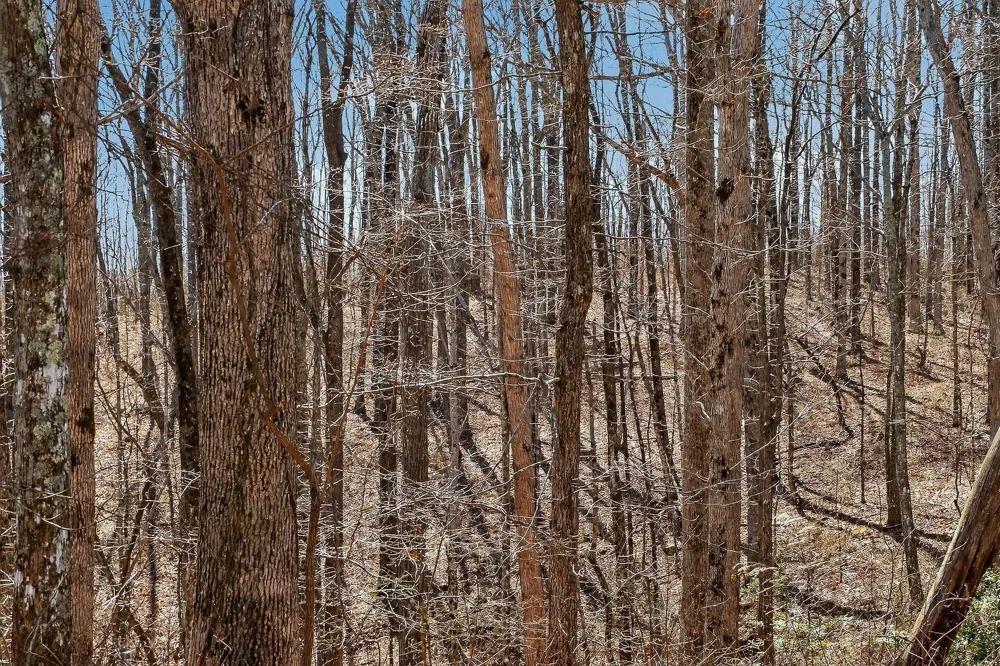 253 Highway 27 Daus Mountain Road Palmer, TN 37365