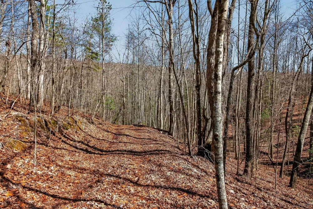 253 Highway 27 Daus Mountain Road Palmer, TN 37365