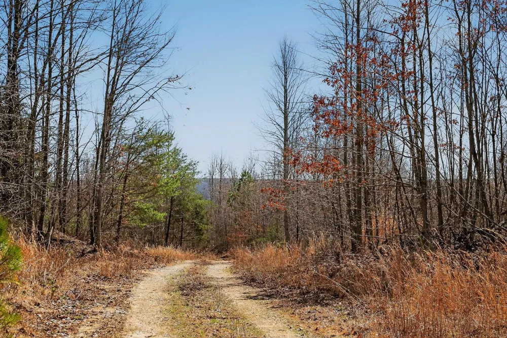 253 Highway 27 Daus Mountain Road Palmer, TN 37365