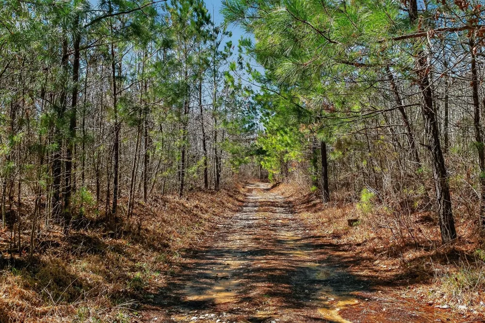 253 Highway 27 Daus Mountain Road Palmer, TN 37365
