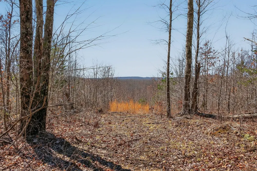 253 Highway 27 Daus Mountain Road Palmer, TN 37365