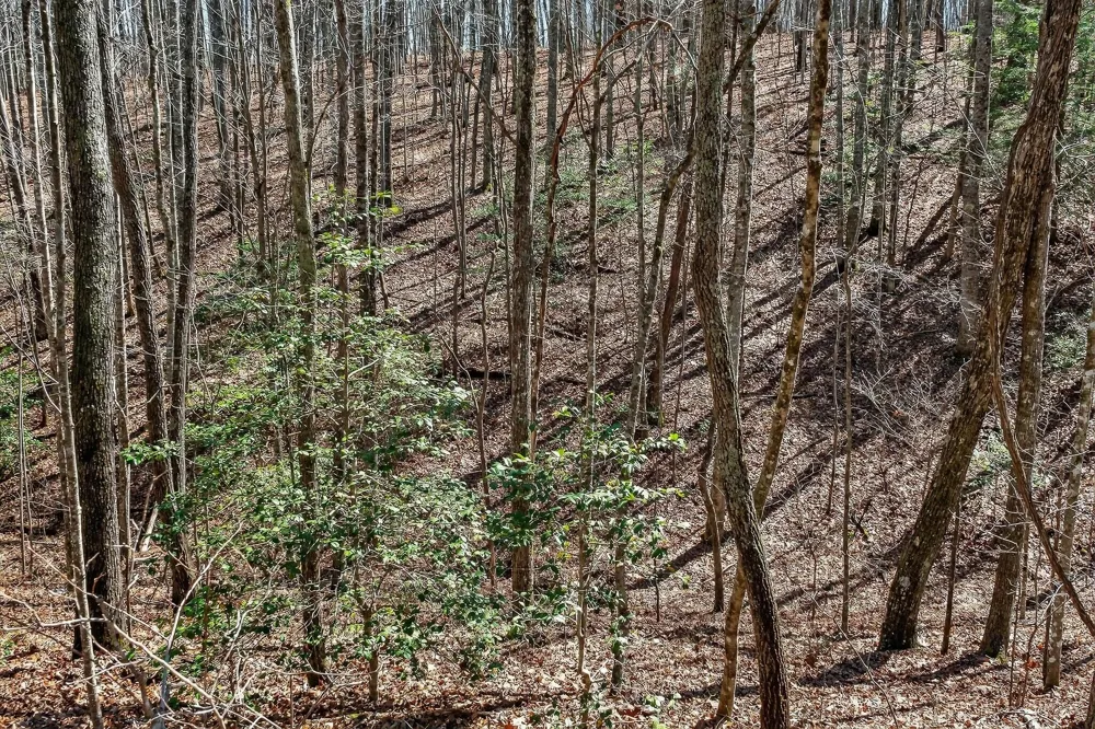 253 Highway 27 Daus Mountain Road Palmer, TN 37365