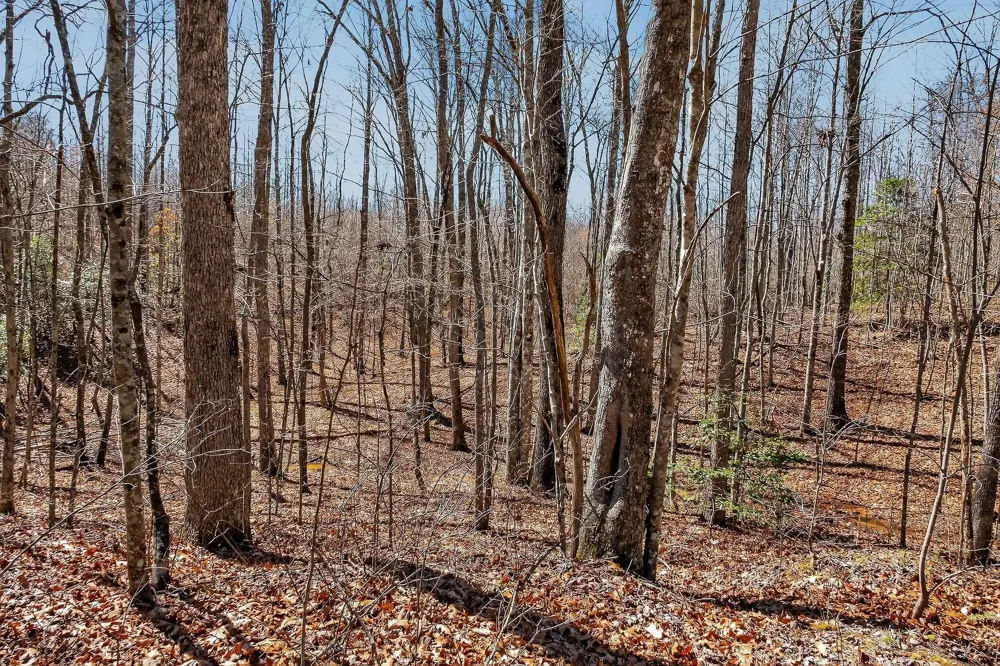 253 Highway 27 Daus Mountain Road Palmer, TN 37365