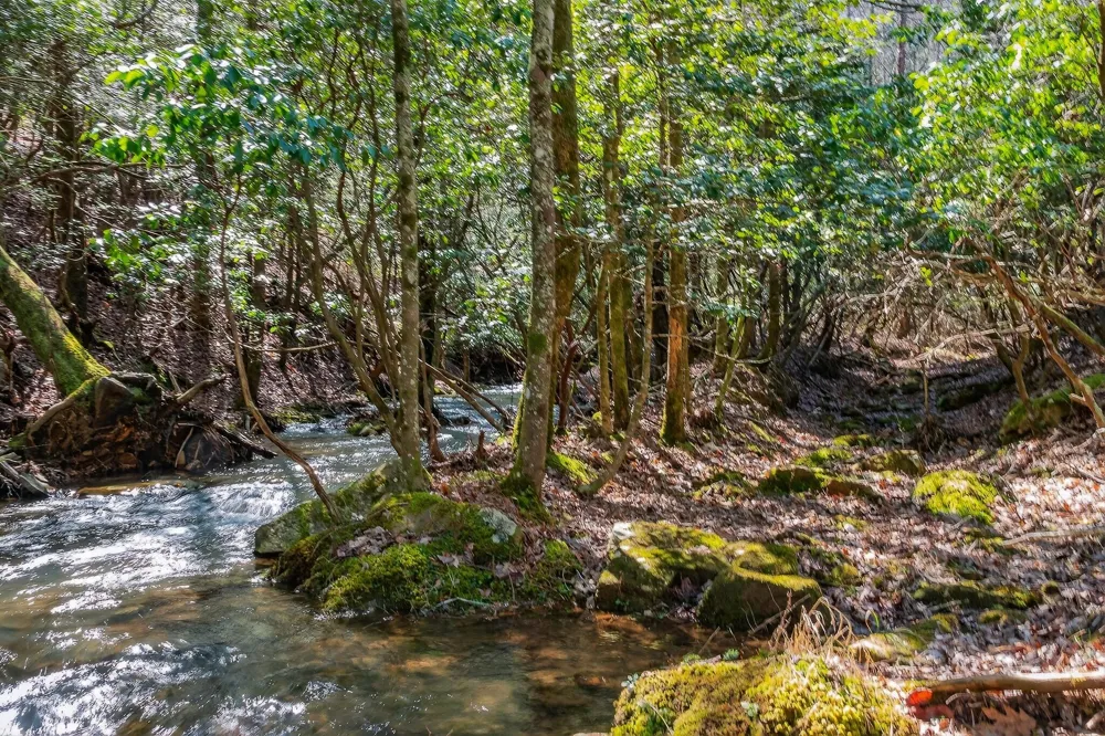 253 Highway 27 Daus Mountain Road Palmer, TN 37365
