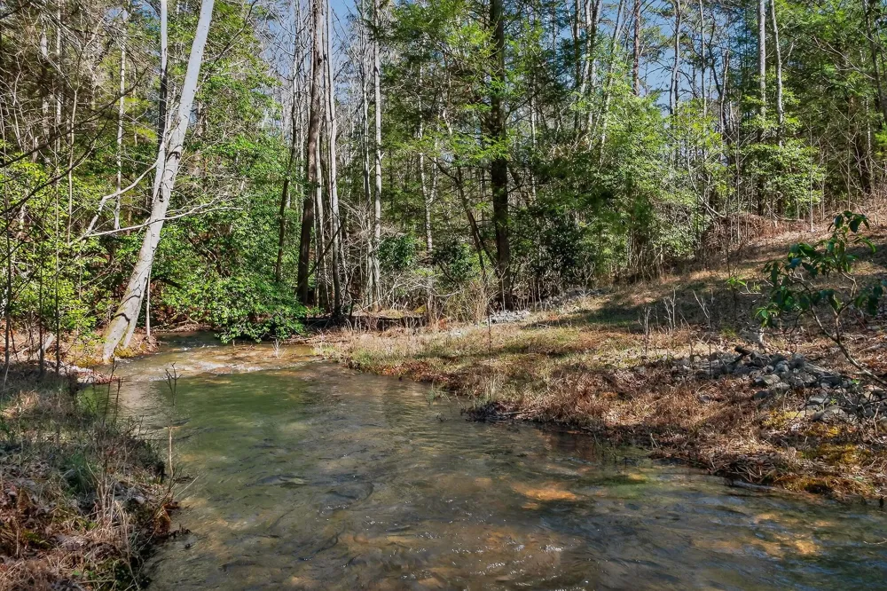 253 Highway 27 Daus Mountain Road Palmer, TN 37365