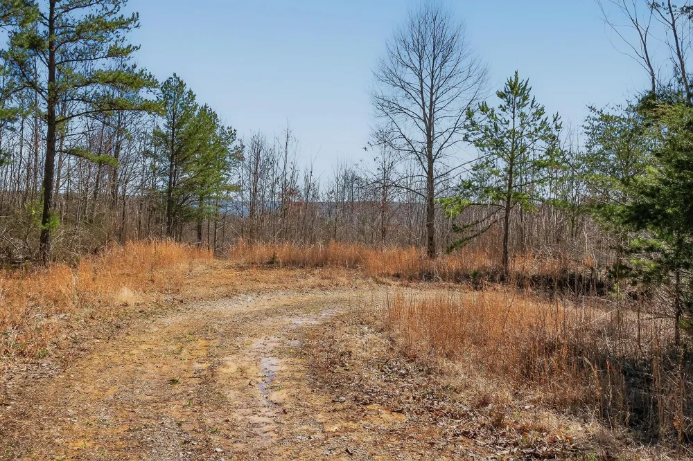 253 Highway 27 Daus Mountain Road Palmer, TN 37365