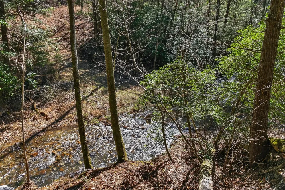 253 Highway 27 Daus Mountain Road Palmer, TN 37365