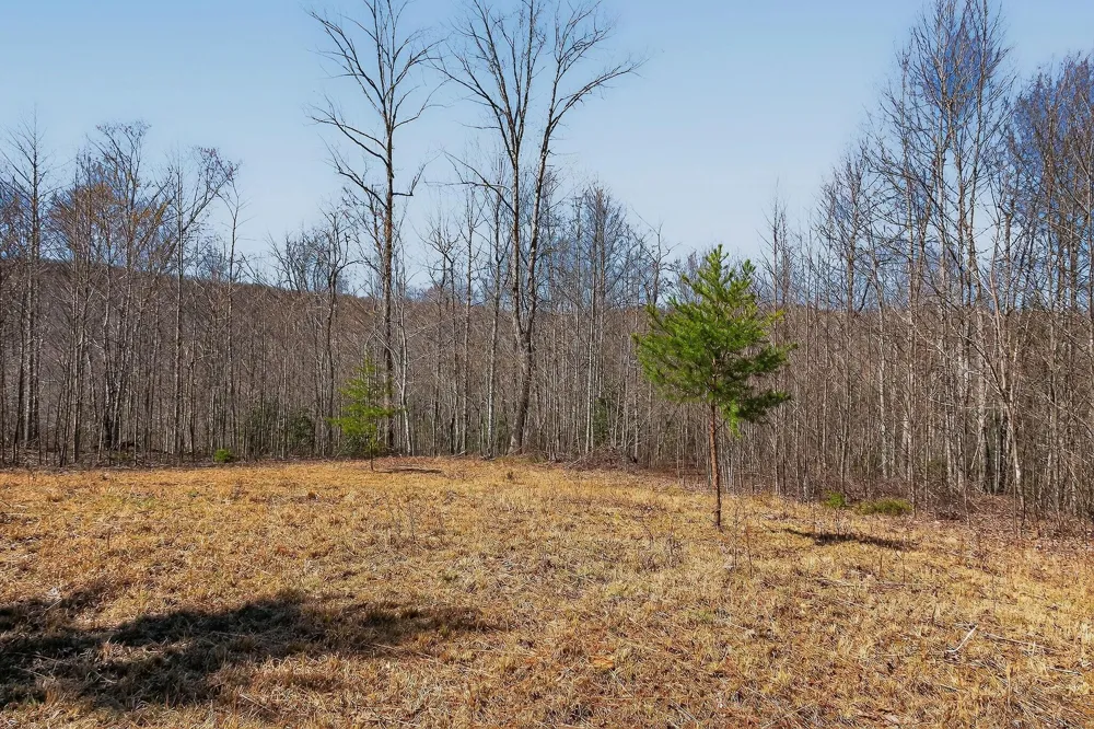 253 Highway 27 Daus Mountain Road Palmer, TN 37365