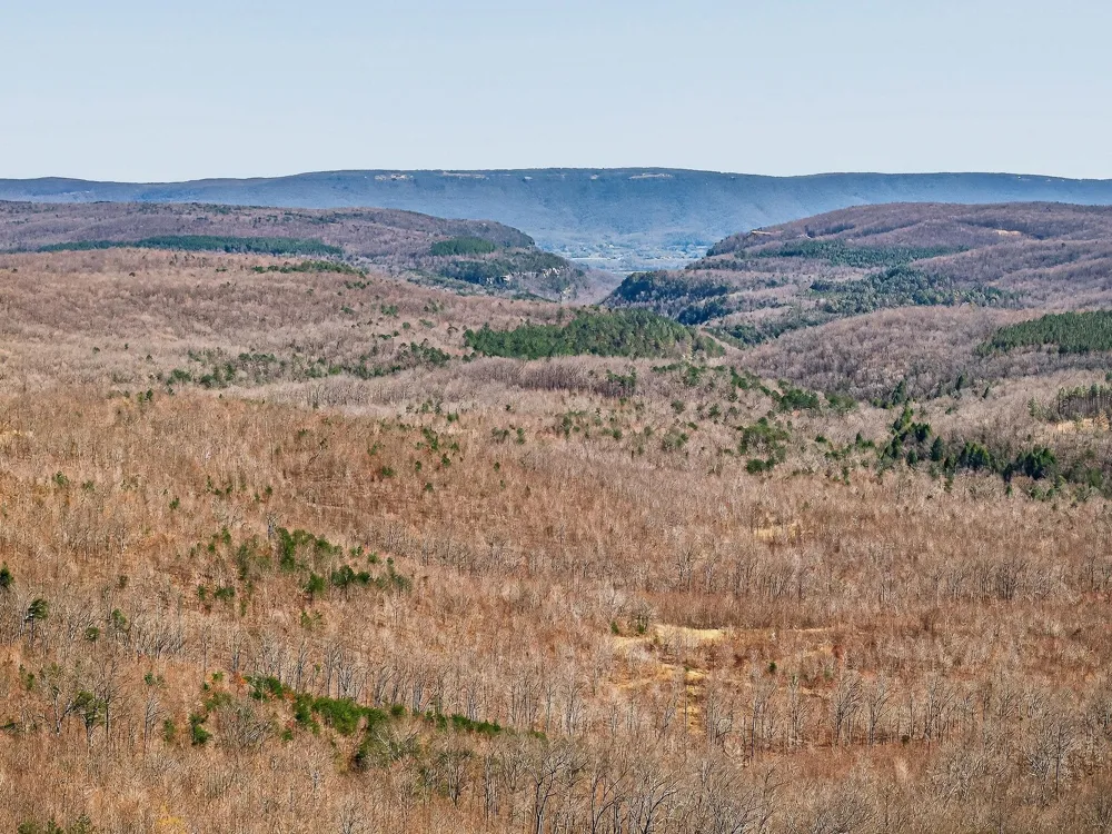 253 Highway 27 Daus Mountain Road Palmer, TN 37365