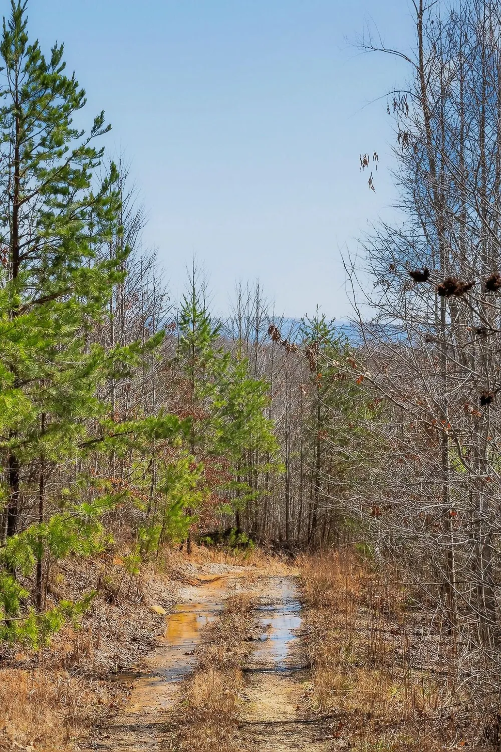 253 Highway 27 Daus Mountain Road Palmer, TN 37365