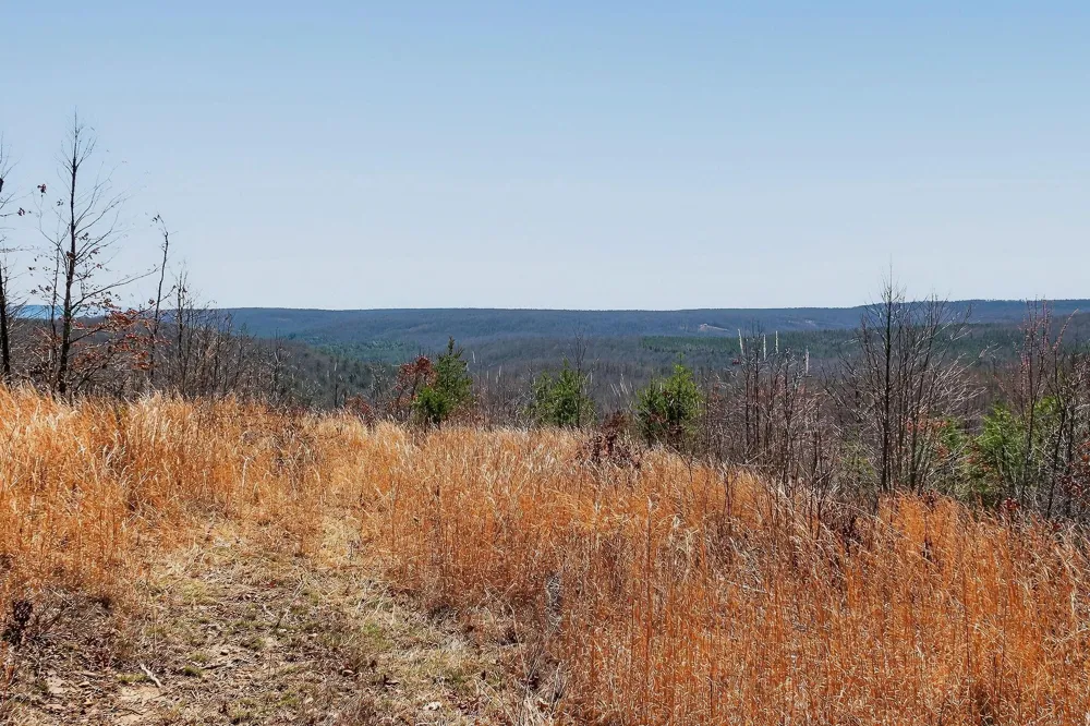 253 Highway 27 Daus Mountain Road Palmer, TN 37365
