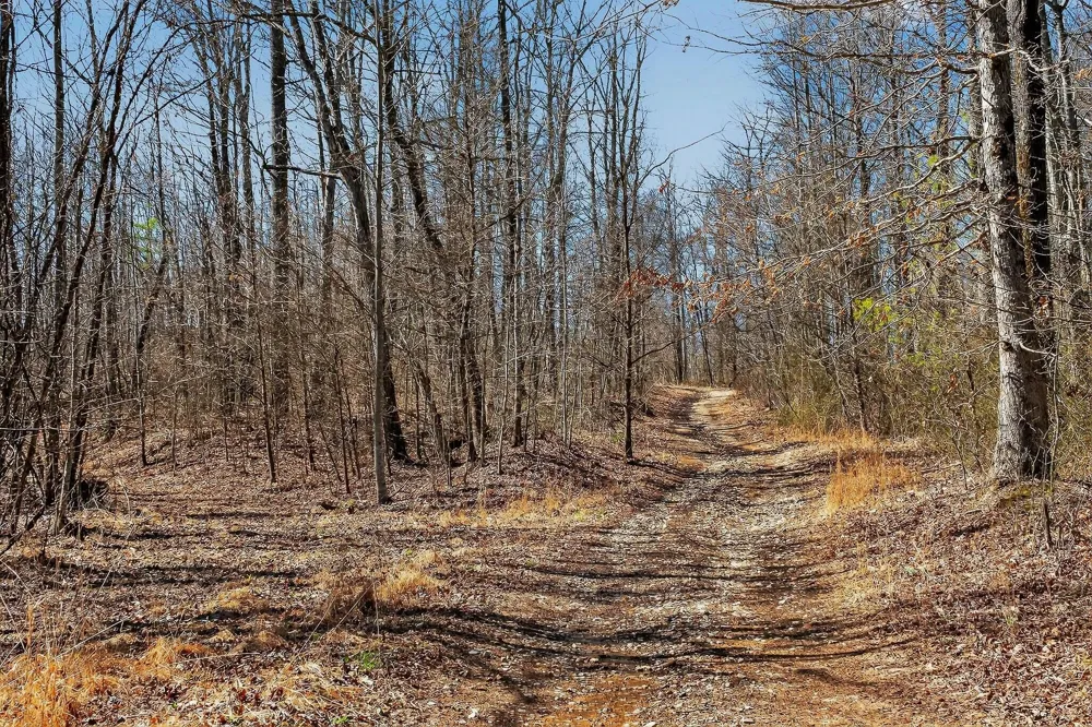 253 Highway 27 Daus Mountain Road Palmer, TN 37365