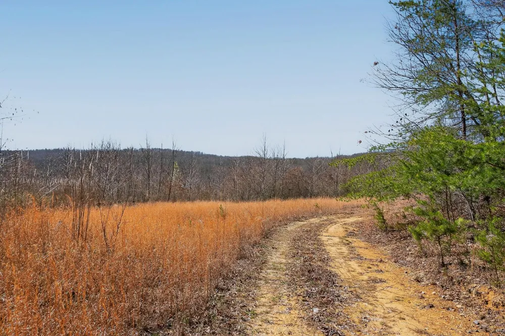 253 Highway 27 Daus Mountain Road Palmer, TN 37365