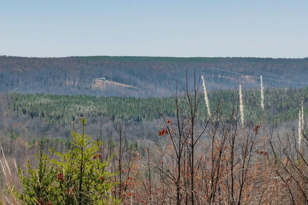 253 Highway 27 Daus Mountain Road Palmer, TN 37365