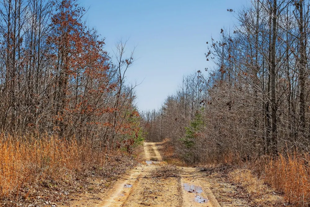 253 Highway 27 Daus Mountain Road Palmer, TN 37365