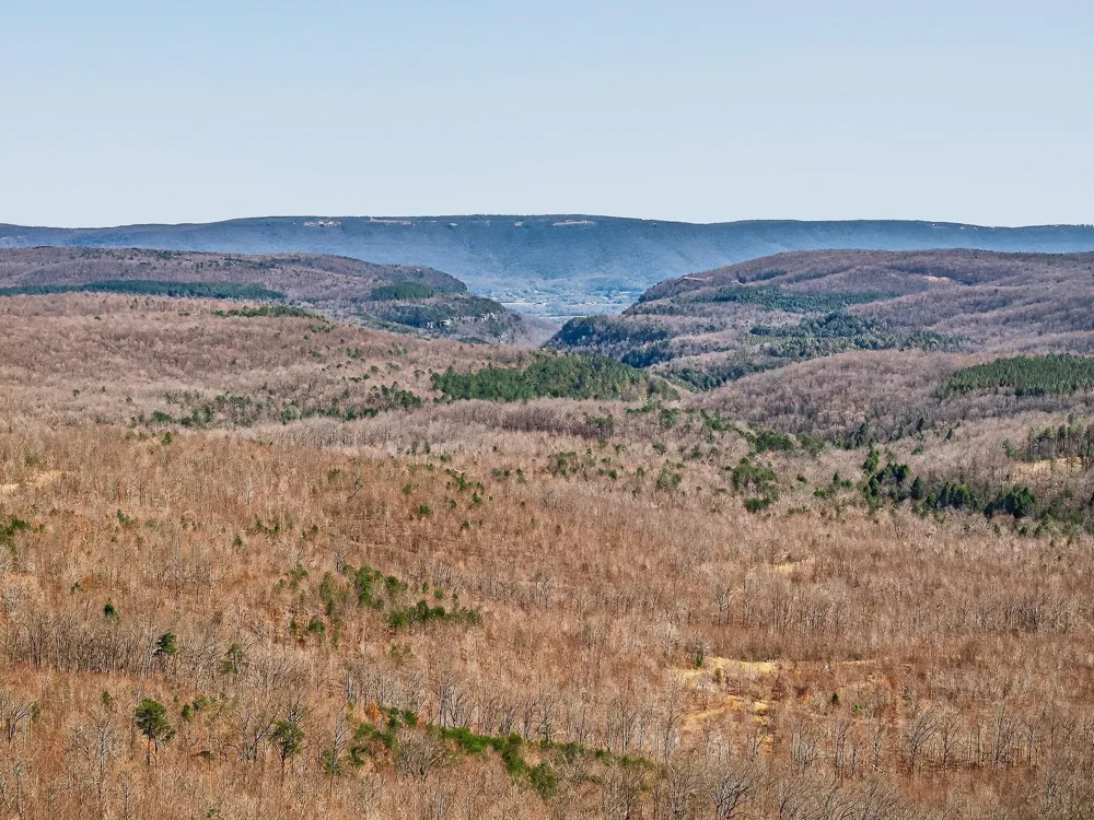 253 Highway 27 Daus Mountain Road Palmer, TN 37365